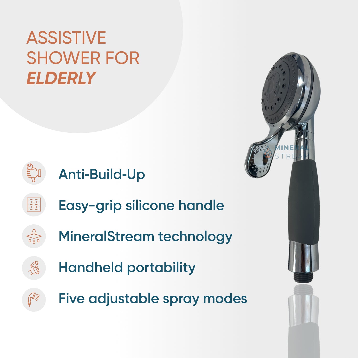 Assistive Shower Dual Shower System